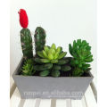 Manufacturer Cheap Artificial Outdoor Cactus Plants With Pots